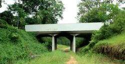 Henry Park (D10), Terrace #460753361